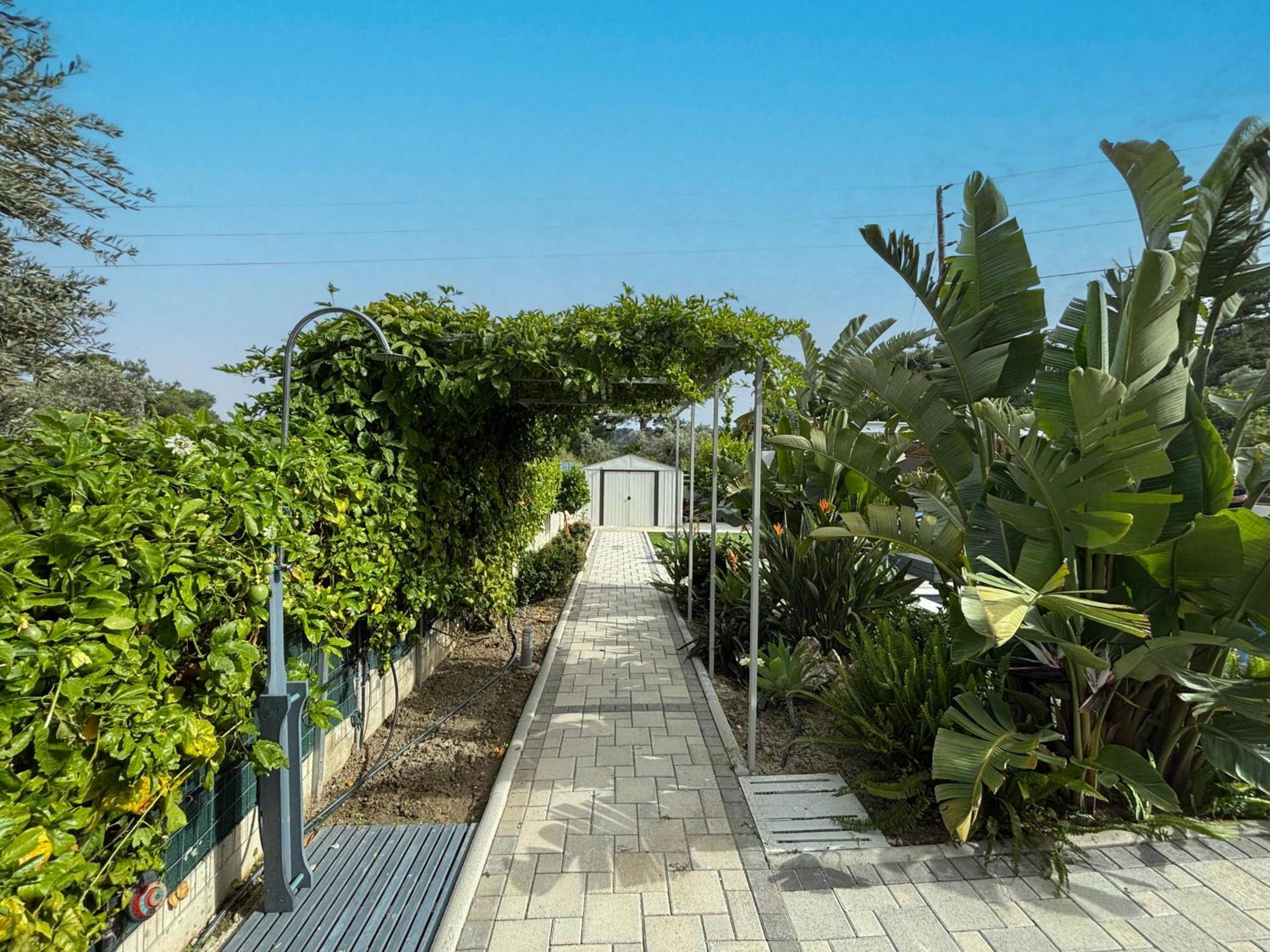 Hideaway Ialysos (Rhodes)